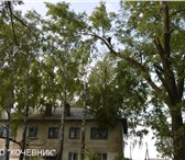 Foto в Строительство и ремонт Разное Снос, спил аварийных и опасных, не вписывающихся в Москве 300