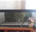 Изображение в Домашние животные Разное Здравствуйте, продаю практически новый аквариум, в Москве 3 000
