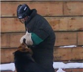Фотография в Домашние животные Услуги для животных Завели собаку и не знаете как воспитывать?! в Москве 1