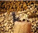 Фото в Прочее,  разное Разное Доставим дрова дубовые для обогрева дома в Москве 180