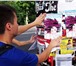 Фото в Работа Вакансии Требуется ответственный расклейщик объявлений в Ростове-на-Дону 25 000
