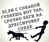 Изображение в Домашние животные Услуги для животных Школа дрессировки собак по всем направлениям в Санкт-Петербурге 300