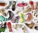 Фото в Одежда и обувь Женская обувь Предлагаем большой ассортимент женской обуви в Сочи 300