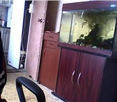 Foto в Домашние животные Товары для животных ОЧЕНЬ СРОЧНО! ПРОДАМ или ОБМЕНЯЮ аквариум в Москве 7 000