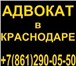 Изображение в Развлечения и досуг Разное Адвокат по уголовным, гражданским и арбитражным в Москве 1 000