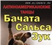 Фотография в Спорт Спортивные школы и секции Танцевальный клуб &ldquo;AliDance&rdquo; в Хабаровске 1 500