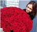 Фото в Домашние животные Растения Сделайте своей девушке незабываемый подарок. в Москве 5 545