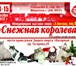 Фотография в Домашние животные Выставки кошек Дорогие друзья приглашаем всех ценителей в Нижнем Новгороде 150