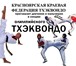 Foto в Спорт Спортивные школы и секции Приглашаем в секцию олимпийского тхэквондо в Красноярске 0