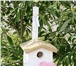 Изображение в Домашние животные Птички Скворечники, кормушки для птиц в Набережных Челнах 1 500