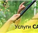 Foto в Прочее,  разное Разное Портреты Пейзажи. Натюрморты Роспись стен в Воронеже 500