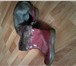 Фото в Одежда и обувь Детская обувь Продам детские сапожки, зимние р-р 31, на в Омске 400