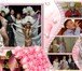Foto в Развлечения и досуг Организация праздников Организация и проведение свадьбы по всем в Березниках 7 000