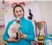 Foto в Домашние животные Услуги для животных Уважаемые любители кошек! Приглашаем Вас в Владивостоке 0