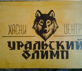 Изображение в Прочее,  разное Разное выжигаем на заказ вывески,таблички,визитки в Перми 800