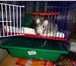Изображение в Домашние животные Грызуны продам клетку для грызуна 2 этажная в    в Ульяновске 700