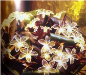 Фотография в Мебель и интерьер Светильники, люстры, лампы Светодиодная флористика, так популярная в в Рязани 800