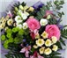 Фотография в Домашние животные Растения Цветы в Подольске. 8.00-22.00, г. Подольск, в Коломне 100