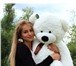 Изображение в Для детей Детские игрушки Лучший подарок девушке на 8 марта! 
Фотосессия в Нижнем Новгороде 3 000