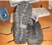 Изображение в Одежда и обувь Детская обувь Ботинки зимние для мальчика 38р.,    кожа в Кургане 600