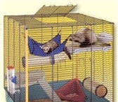Фотография в Домашние животные Товары для животных Продам новую клетку для хорька:Размер: 80*75*86, в Перми 8 500