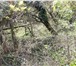Фото в Недвижимость Земельные участки Участок в садовом товариществе на Гортопе. в Сочи 650 000