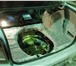 Фото в Авторынок Тюнинг ►Вибро, шумо-тепло изоляция автомобиля в в Саратове 0