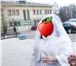 Фото в Одежда и обувь Свадебные платья Продам свадебную красивую белую шубку размер в Москве 2 500