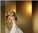 Фотография в Одежда и обувь Свадебные платья Продаю счастливое платье Бенджамин Робертс в Москве 30 000