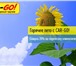Изображение в Прочее,  разное Разное Внимание! АКЦИЯ«ГОРЯЧЕЕ ЛЕТО c СAR-GO!»С в Сочи 100