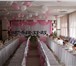 Фото в Для детей Разное Профессиональное оформление свадеб тканями,цветами,шарами! в Саранске 1 000