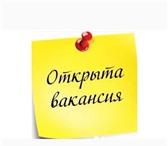 Изображение в Работа Вакансии Требуется удаленный работник.Обязанности:- в Москве 55 000