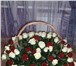 Foto в Домашние животные Растения Дарить цветы – одна из самых больших радостей! в Барнауле 600