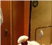Изображение в Домашние животные Стрижка собак Стрижка и триминг домашних животных.Полный в Воронеже 1 500