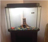 Фотография в Домашние животные Рыбки продам аквариум на 40-50 литров, с тумбой в Магнитогорске 5 500