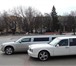 Фото в Развлечения и досуг Разное Лимузины на свадьбы и другие мероприятия в Курске 2 500