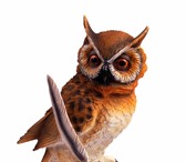 Фотография в Работа Вакансии Требуется администратор с юридическим образованием! в Красноярске 0