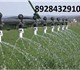 Продаю КАС 32 Карбамидно-аммиачная смесь