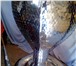 Фото в Мебель и интерьер Антиквариат, предметы искусства Продам фигуру кобры из пищевой нержавеющей в Самаре 230 000