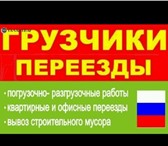 Foto в Прочее,  разное Разное Если вам необходимо перевезти офис, осуществить в Туле 0
