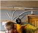 Изображение в Домашние животные Птички Продам попугая Арочка ара за 80 000 руб. в Екатеринбурге 80 000