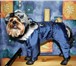 Изображение в Домашние животные Товары для животных Интернет магазин одежды для собак Алефтинка в Москве 800