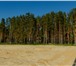 Фото в Недвижимость Загородные дома Уникальный дом с участком в действующем закрытом в Нижнем Новгороде 12 500 000