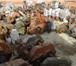 Фото в Прочее,  разное Разное Куплю редукторы -ц2у ц2н ц2 ц3у цдн рм кц в Кемерово 0