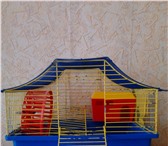 Изображение в Домашние животные Товары для животных Продам клетку для хомяков в отличном состоянии. в Братске 400