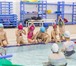 Фотография в Спорт Спортивные школы и секции Хотите научить ребенка плаванию, помочь преодолеть в Москве 0