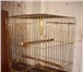 Фотография в Домашние животные Товары для животных Продам клетку для попугая в отличном состоянии. в Москве 1 300