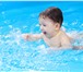 Изображение в Спорт Спортивные школы и секции Проводим занятия по плаванию с детьми от в Ростове-на-Дону 400