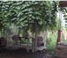 Фотография в Недвижимость Продажа домов СОБСТВЕННИК х.Полушкин находиться от ГПЗ в Ростове-на-Дону 4 000 000