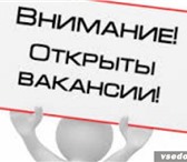 Фотография в Работа Вакансии В связи с расширением в оптовую компанию в Кургане 1 200